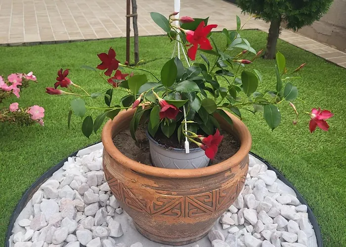 Casa Nueva Эфорие Норд