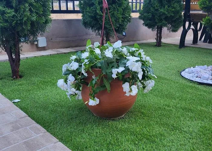 Casa Nueva Проживание в семье