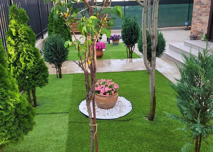 Проживание в семье Casa Nueva *